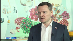 Россиян предлагают защитить от роста цен на социально значимые товары