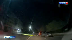 Кошка предотвратила ДТП в Алтайском крае