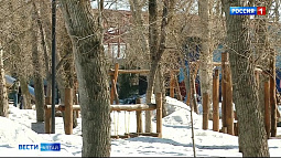 В барнаульском парке «Изумрудный» высадят больше 100 деревьев