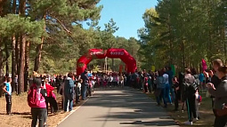 Традиционный «Кросс наций» скоро стартует на барнаульской лыжной базе «Динамо»