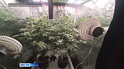 Барнаульские полицейские задержали любителя запрещённых растений