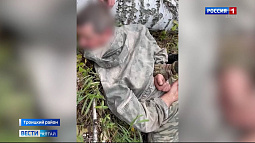 Полицейские поймали чёрных лесорубов, спиливших 58 берёз