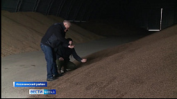 Как капризы природы и ценовая конъюнктура скажутся на структуре посевов?