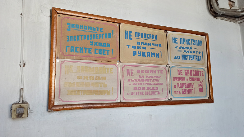 «Набили шишек, но достигли результата»: в Вылково вырастили 1 млн сеянцев с закрытой корневой системой