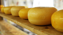 В Алтайском крае сократился выпуск ключевых продуктов питания
