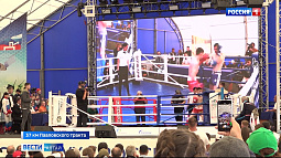 В рамках «Дня сибирского поля» кикбоксёры провели спортивно-патриотический фестиваль «Сила духа России»