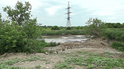 Жители двух сёл в Первомайском районе страдают от зловонных запахов