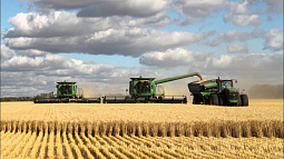 В Алтайском крае серьёзно сократилось количество сельхозпредприятий