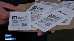 Из Барнаула в Донбасс отправили 100 килограммов семян самых популярных дачных культур