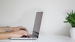 Программисты Алтайского края активнее всех ищут работу