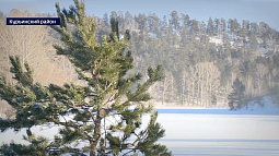 В этом году в Алтайском крае должен появиться второй национальный парк