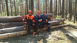 Работники леса накануне принимали поздравления с профессиональным праздником