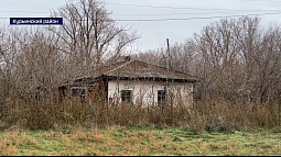 Жители села Кузнецово обеспокоены пропажей с подворий домашней птицы
