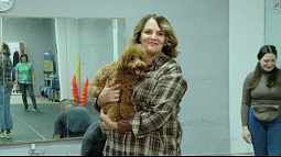 В Барнауле работают специальные курсы «Управляемая городская собака»