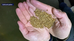 На Алтае цены на продукты питания могут стать ниже