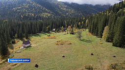 Алтайский фермер лишился земли из-за подделанных печатей и подписи