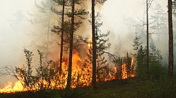 В праздничные дни в Алтайском крае сохранится высокая пожароопасность