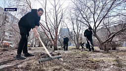 Почти 300 тысяч цветов высадят на клумбах краевой столицы