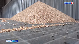 Алтайские компании активно участвуют в зерновых интервенциях