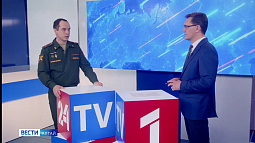 Служба по контракту набирает популярность