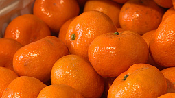 В этом году в Алтайский край через границу с Казахстаном ввезли вдвое меньше цитрусовых 