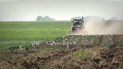 Компания с китайскими собственниками взяла в субаренду почти всю заброшенную землю в Бурлинском районе