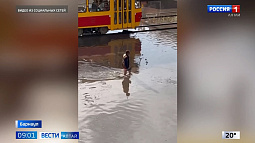 В населённых пунктах Алтайского края ликвидируют последствия непогоды