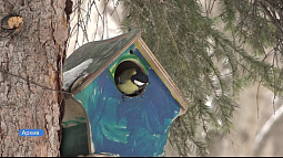 Сегодня орнитологи отмечают профессиональный праздник