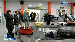 За какие сувениры с моря можно попасть под статью?