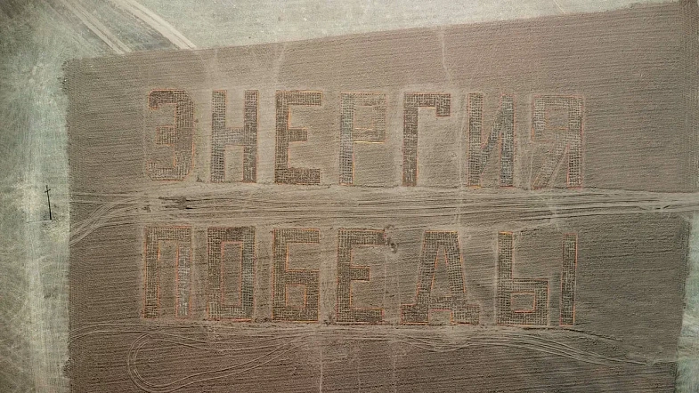 В окрестностях Кулунды высадили деревья в виде надписи «Энергия Победы»