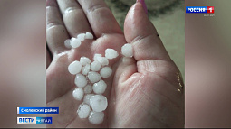 В Смоленском районе подсчитывают ущерб от выпавшего накануне града