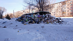 Почти 72 га сельхозугодий в Алтайском крае завалены мусором