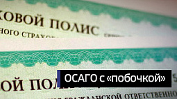 Всё больше водителей отказываются от покупки полиса ОСАГО