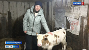 «Отчаянная фермерша» из алтайского села создала семейную молочную ферму
