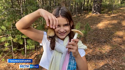 Горожан приглашают на прогулки по лесу