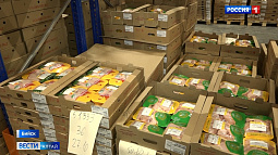 «Алтайский бройлер» планирует вдвое увеличить объёмы производства мяса