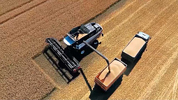 Почти треть всей российской крупы родом из Алтайского края