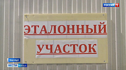 На предприятиях края продолжают внедрять бережливые технологии по нацпроекту «Производительность труда»