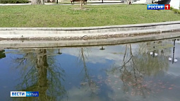 Управляющий парком «Изумрудный» успокоил горожан, которые беспокоились о рыбах из местного пруда 