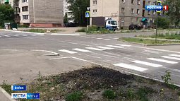 Пенсионерка из Бийска решила сама нарисовать зебру