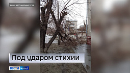 На Алтае для устранения аварий, к которым привёл ураган, было привлечено 54 бригады