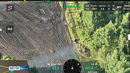 В Волчихинском районе чёрных лесорубов удалось задержать благодаря наблюдению с воздуха