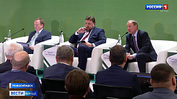 На Алтае ожидается рекордный урожай масличных культур