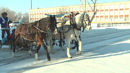 По райцентру Поспелиха проехала праздничная тройка лошадей