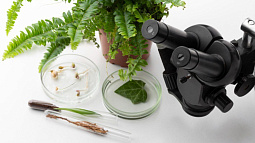 Алтайский государственный университет занял первое место среди вузов России