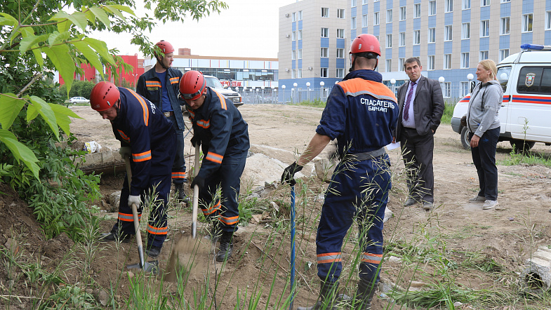 В Барнауле сотрудники МЧС спасли из бетонной западни четверых щенков
