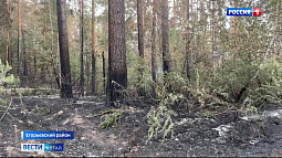 После крупного лесного пожара в Егорьевском районе специалисты приступают к наземному обследованию