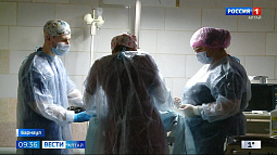 В приюте «Ласка» принимают заявки на бесплатную стерилизацию домашних собак