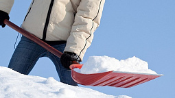 Предприятия Алтайского края отправляют добровольцев на очистку улиц от снега