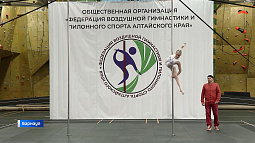 Пилонный спорт на Алтае: почему эксперты уверенны, что он непременно станет олимпийским?